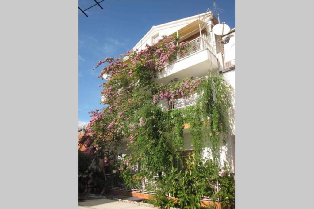 גראדאץ Apartman Graciela Perfect Location Gradac מראה חיצוני תמונה
